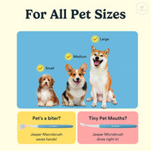 Load image into Gallery viewer, Jasper Dog Toothbrush, 360 Degree Dog Tooth Brushing Kit, Cat Toothbrush, Canine Dental Care &amp; Teeth Cleaning Kit, Pet Finger Tooth Brush, Use with Pet Toothpaste, 4-Pack Blue
