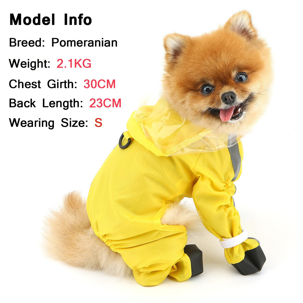 SMALLLEE_LUCKY_STORE Waterproof Raincoat for Small Dogs with Clear Hood Boots Puppy Rain Jacket with D-Ring Reflective Stripe Full Boby 4 Leg Jumpsuit Rain Coat Rain Jacket Slicker Rainwear Yellow M