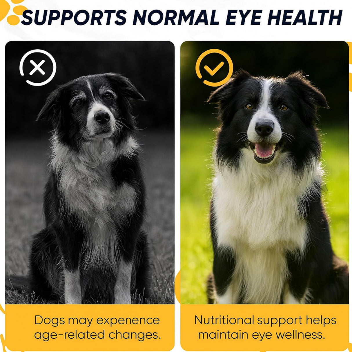 BrightPup Dog Vision Chews, Dog Vision Supplement with Lutein, Vitamin A/C/E, Bilberry & Omega-3, Supports Eyes Health & Visions Clarity, Bacon Flavor Eye Supplements for Dogs, 30 Soft Chews (1)