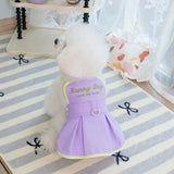 2 Pieces Dog Dresses Puppy Luxury Princess Dress Sunny Day Clothes Wedding Evening Summer Suspender Dress Skirt Doggie Dress for Small Dog Girl L