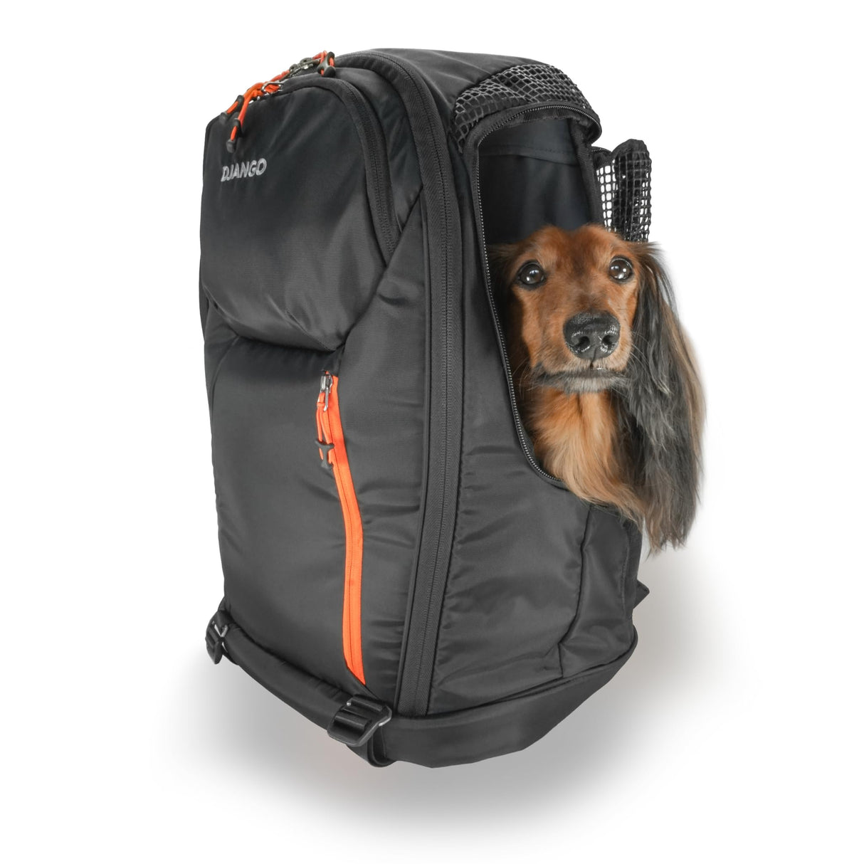 DJANGO Dog Carrier Backpack – Pet Backpack for Small Dogs & Cats with Hip Belt, Laptop Pocket & Water Bottle Sleeve – Travel Dog & Cat Carrier for Hiking, Camping & Commuting (Midnight Black)