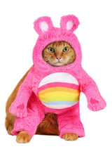Fun Costumes Care Bears Cheer Bear Dog Costume Size Large Teddy Bear Outfit for Dogs XL