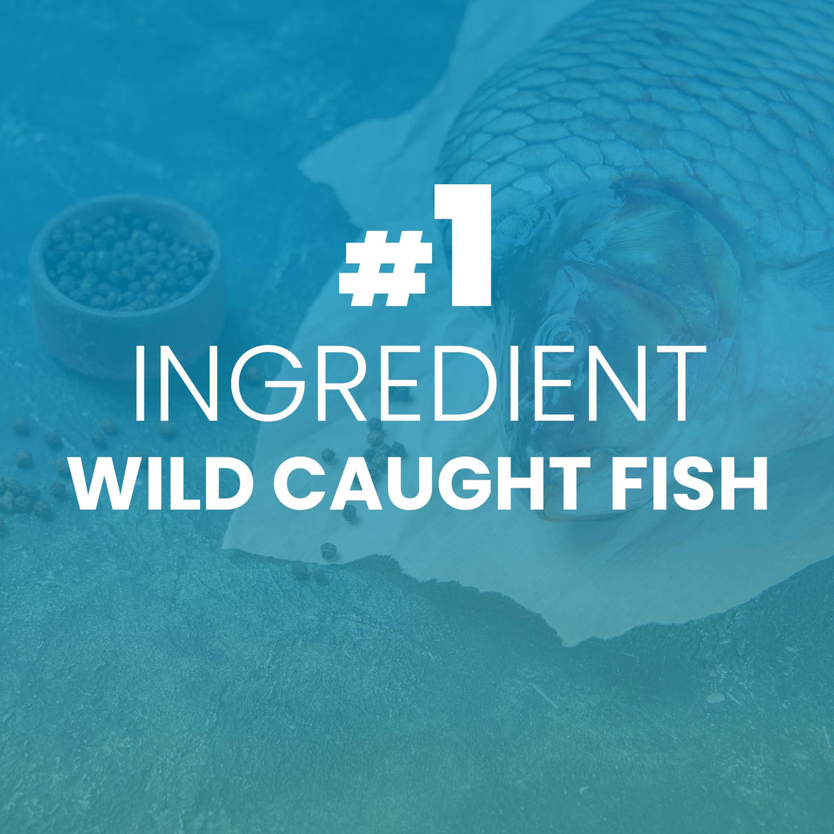 Wild Caught Marine Pet Collagen for Dogs, Peptide for Dogs - Improves Gut, Skin & Coat Health, Allergies, Pet Mobility Hip & Joint Supplement Health