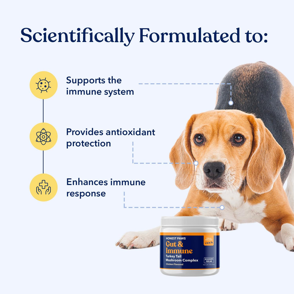 Honest Paws Turkey Tail Mushroom for Dogs - Digestive and Immune Support - Shiitake, Reishi, Maitake Mushroom Supplement Powder for Dogs - No Filler, No Additives - (30 Scoops)