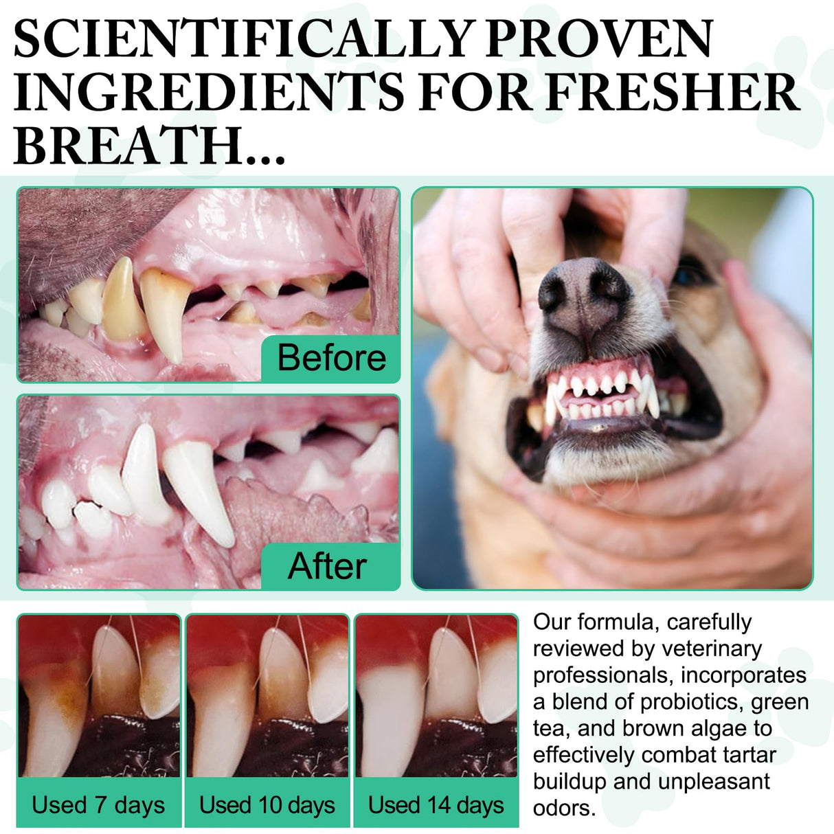 Dog Dental Powder - Pet Dental Powder - Teeth Cleaning P-owder for Dogs - Plaque & Bad Breath Off P-owder D-og, D-ental Care Supplies 100g