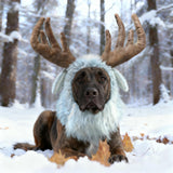 Onmygogo Funny Dog Halloween Costumes, Cute Furry Pet Wig for Halloween Christmas, Pet Clothing Accessories (Moose, Size M)