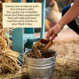 Scratch and Peck Grubs for Chickens and Ducks - 3.5 lbs Bag - Sustainably Sourced - Naturally High Protein, Calcium Dense - Dried Black Soldier Fly Larvae Bird Treats