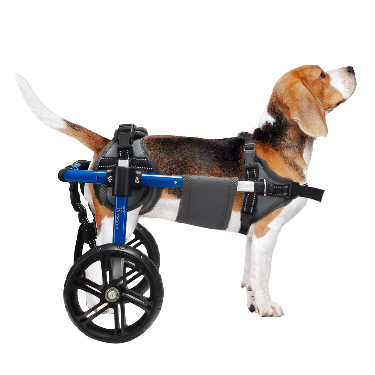 Virbraroo Dog Wheelchair for Back Legs with Upgraded All-Terrain Tires & Durable Bearings,Adjustable Dog Wheelchair for 11.8"-17.7" Lenght,22-35 lbs Disabled or Injured Small Dogs