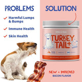 Fifth & Fido Turkey Tail Mushroom for Dogs – Turkey Tail for Dogs Mushroom Supplement with Immune Support for Lipoma, Lumps & Bumps – Premium Pet Vitamins and Supplements Made in USA, 100 Servings