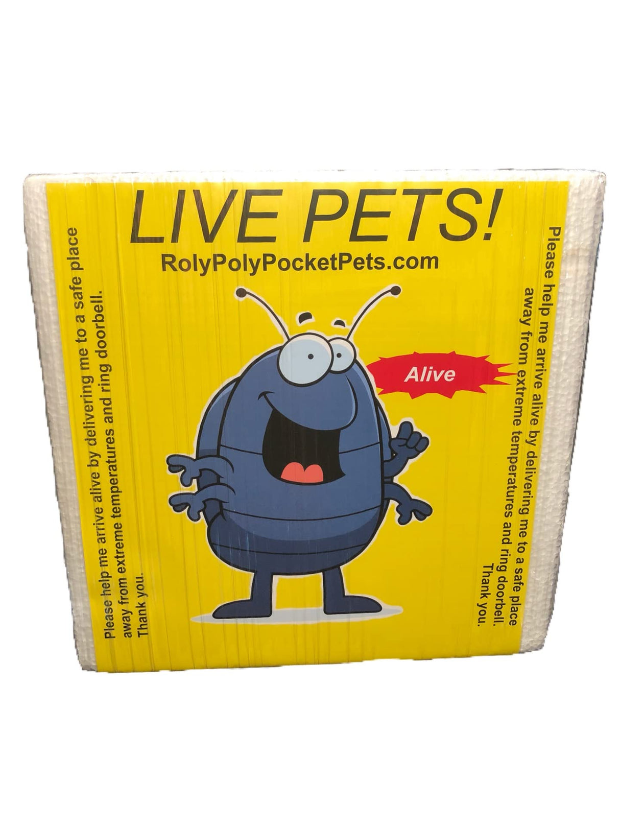 Pocket Pets Springtail Eggs and Dwarf White Isopods in Living Bioactive Soil Clean Up Crew Bundle Reptile and Amphibian Food Order only if Your 5 Day Forecast Temps are Between 20 and 95