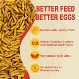 GOLDWORMS 10LB Dried Black Solider Fly Larvae, BSFL is High Protein Chicken Feed with 85x More Calcium Than Dried Mealworms, Poultry Treats, Chickens Love, Birds Love, Hens Love, Ducks Love