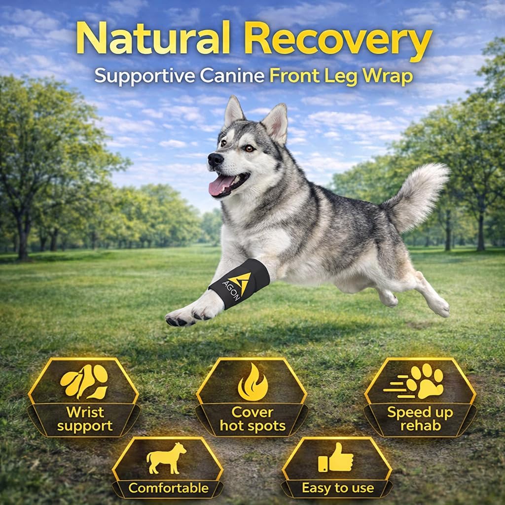 Agon® Dog Canine Front Leg Brace Paw Compression Wraps with Protects Wounds Brace Heals and Prevents Injuries and Sprains Helps with Loss of Stability Caused by Arthritis (Large/X-Large)