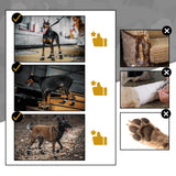 OneTigris Dog Shoes for Large Dogs, Pathfinder Medium Dog Boots & Paw Protectors for Winter Snowy Day,Water-Resistant in Rainy Weather, Outdoor Walking, Indoor Hardfloors Skid-Resistant Sole