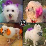 WELYEME Dog Hair Dye Rainbow, Permanent Pet Hair Dye, Professional Dog Safe Hair Dye, Bright Color for Dogs and Horses(Rainbow)