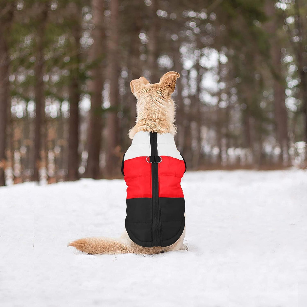 Idepet Pet Dog Cat Coat with Leash Anchor Color Patchwork Padded Puppy Vest Jacket Teddy Chihuahua Costumes Pug Cloth XS S M L(XX-Large,Black)