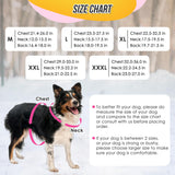 SlowTon Dog Winter Coat, Windproof 3 Layers Thick Warm Fleece Lining Dog Jacket for Cold Weather, Reflective Dogs Apparel with Leash Opening for Medium Large Dogs(Fuchsia,2XL)