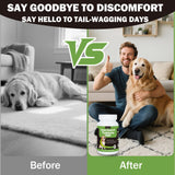 lvermect Tablets for Dogs, 99% Purity for Gut Health Detox, Promotes Immune & Digestive Support - 7.5mg(100 Tablets)