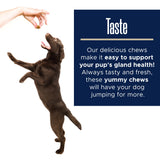 Glands Bowel Support - 120 Delicious Scoot Soft Chews for Scooting, Healthy Anal Glands, and Digestive Health - Made with Pumpkin Powder for Dogs