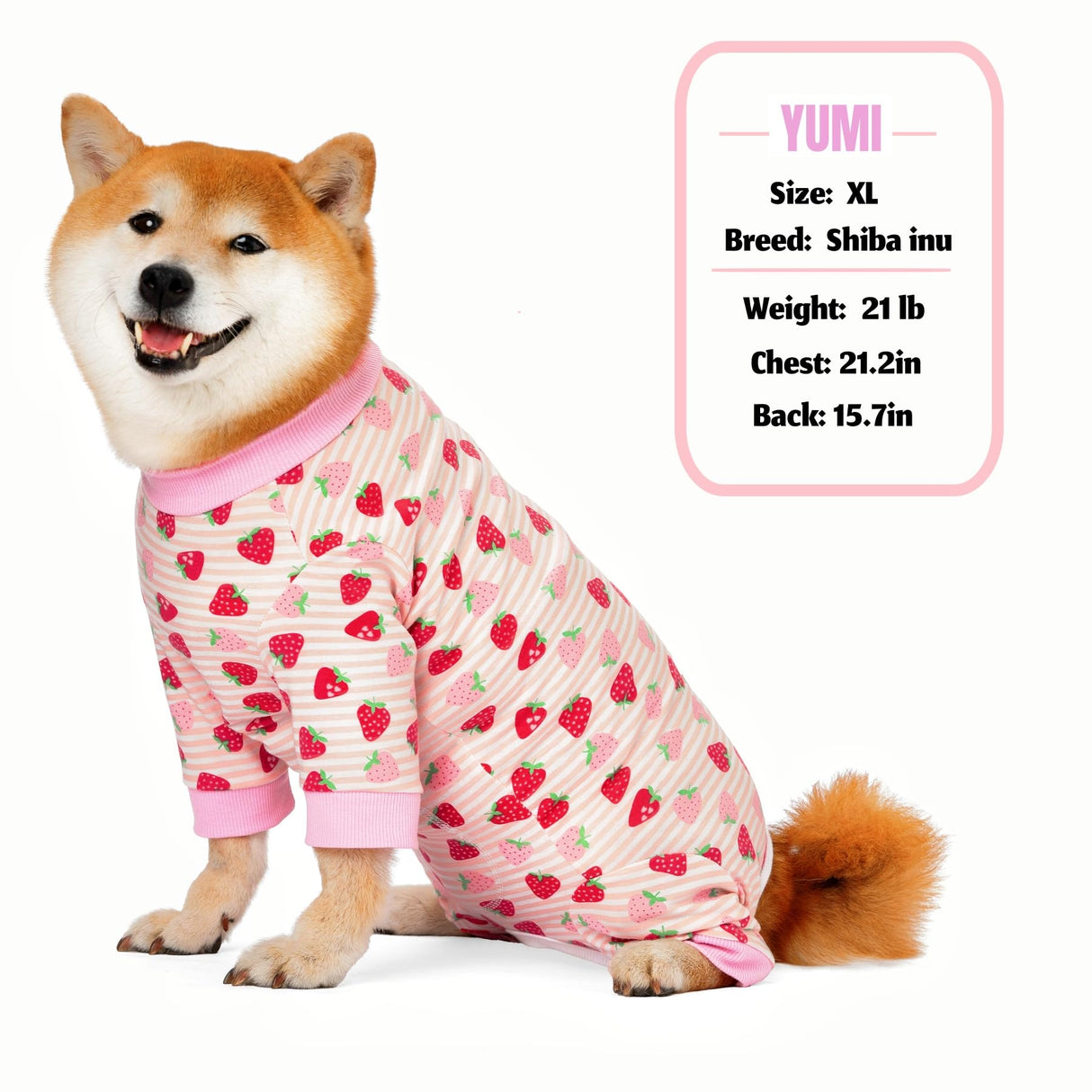 Pupsooft Recovery Suit for Dogs Full Zipper, Four-Legged Onesie Dog Recovery Suit After Surgery Cute Soft Bodysuit Cone Alternative Male Female Neuter Anti Licking Wounds (Pink Strawberry, Large)