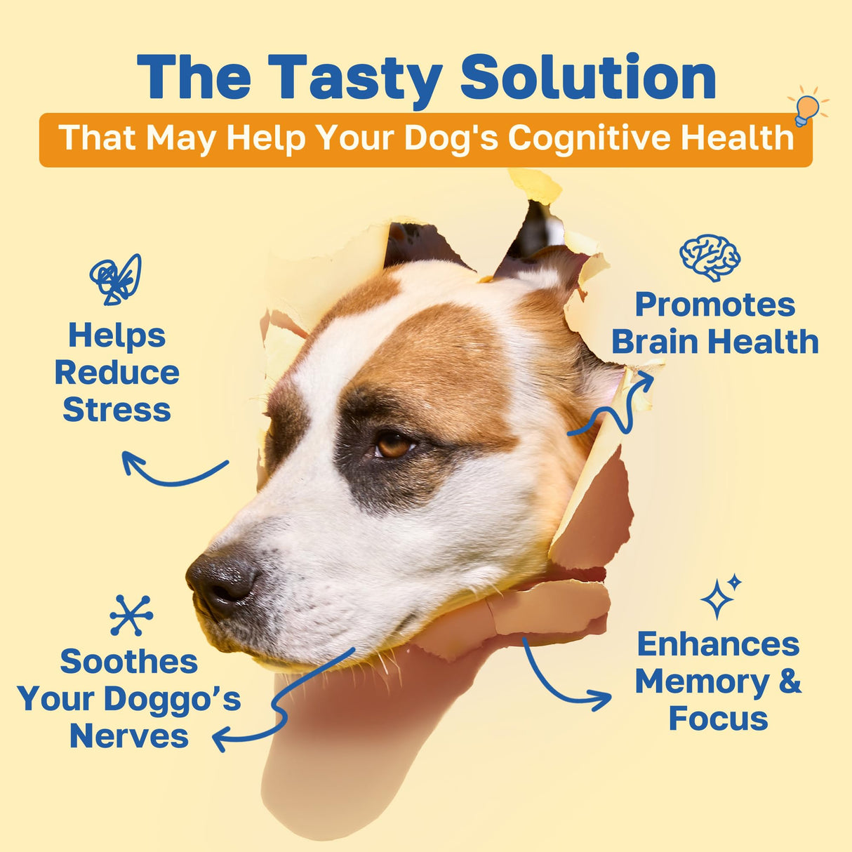 Happy Paws Cognitive Supplement for Dogs, Chicken Soft Chews with Taurine, Spirulina, CoQ10 & Vitamins B1, B3, B12, Supports Cognitive Function, Memory and Focus, Chews for Small to Large Dogs