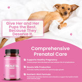 Kilab Complete Prenatal Vitamins for Dogs –150 Tablets with Iron, Choline, Zinc, DHA & Probiotics - Supports Healthy Development & Wellness for Pregnant, Nursing, & Weaning Females