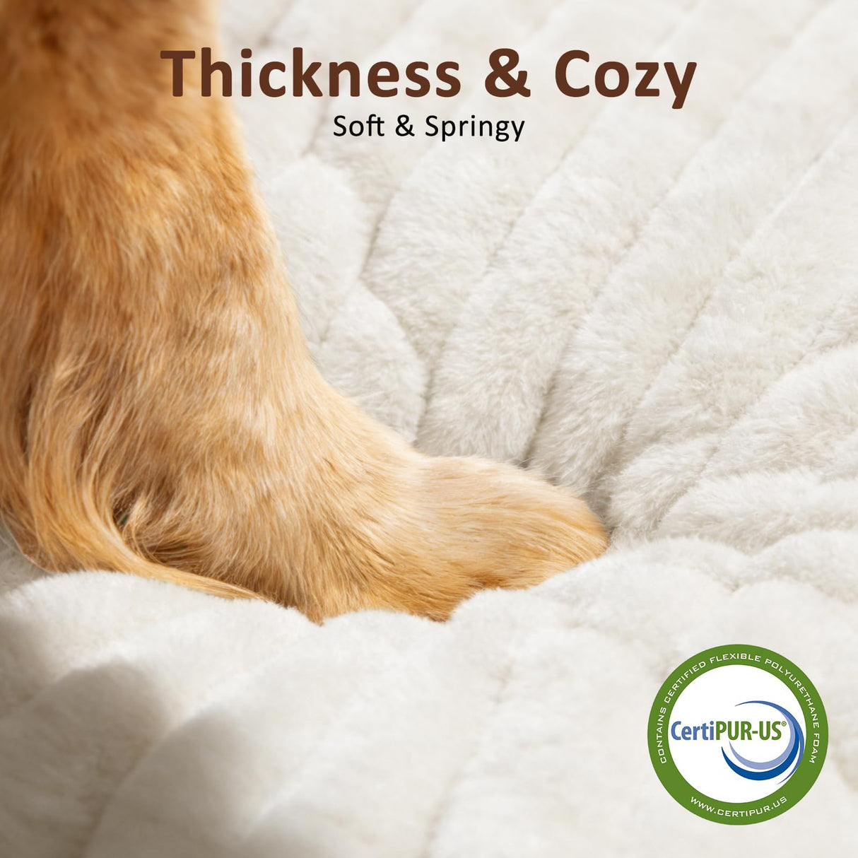 XL Dog Bed, Flat Pet Beds with Removable Washable Cover, Pet Mat Cute Dog Crate Bed Thick Shredded Chopped Crate Foam & Anti Slip Bottom for Indoor, 42"x27"x4" Cream