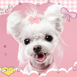 Jexine 100 Pcs/ 50 Pairs Dog Hair Bows with Rubber Bands Puppy Hair Bows Grooming Accessories Multicolor Small Pet Handmade Bowknot for Puppy Pet Girl Female Accessories