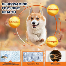 Load image into Gallery viewer, NATURE TARGET Glucosamine Joint Supplement for Dogs, Chondroitin, Omega-3, MSM, Hemp, Turmeric for Pain Relief, Dog Joint Supplement with Calcium for Bone Health, 120 Chicken Flavored Crunchy Chews
