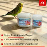 Morning Bird Calcium Plus Powder for Birds 2 oz – Calcium Supplement with Vitamin & Protein Powder – Supports Bone Health, Muscle Function & Digestive Balance – Easy-to-Mix Calcium Formula