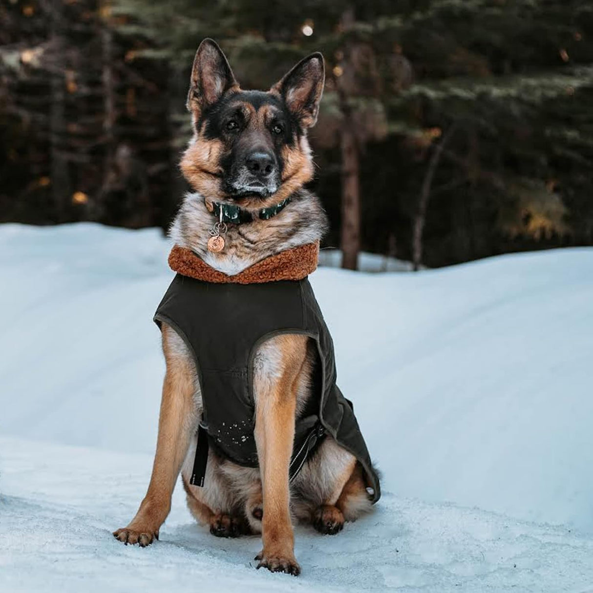 IREENUO Waterproof Dog Coat, Dog Clothing with Adjustable Buckle for Medium and Large Dogs, Winter Dog Coat, L