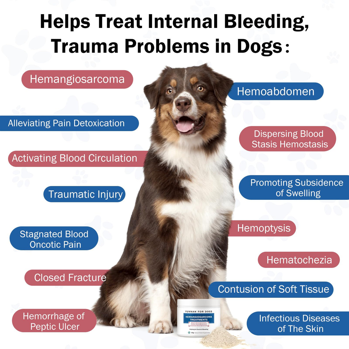 Quick Stop Bleeding for Dogs, Natural Yunnan Sanqi & Herbal Powder, Supports Internal Bleeding, Hemangiosarcoma, Bloody Stools, Post-Surgical Recovery, Ulcers, Severe Bruising, 60g