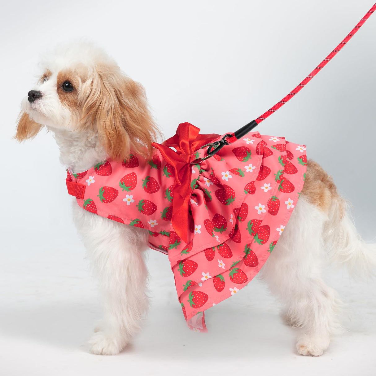PUPTECK Cute Dog Dress with Bowknot and Leash Ring, Soft Breathable Dog Clothes Puppy Princess Girl Outfit, Pet Apparel Costume for Small Medium Sized Dogs, Pink Strawberry XS