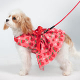 PUPTECK Cute Dog Dress with Bowknot and Leash Ring, Soft Breathable Dog Clothes Puppy Princess Girl Outfit, Pet Apparel Costume for Small Medium Sized Dogs, Pink Strawberry XS