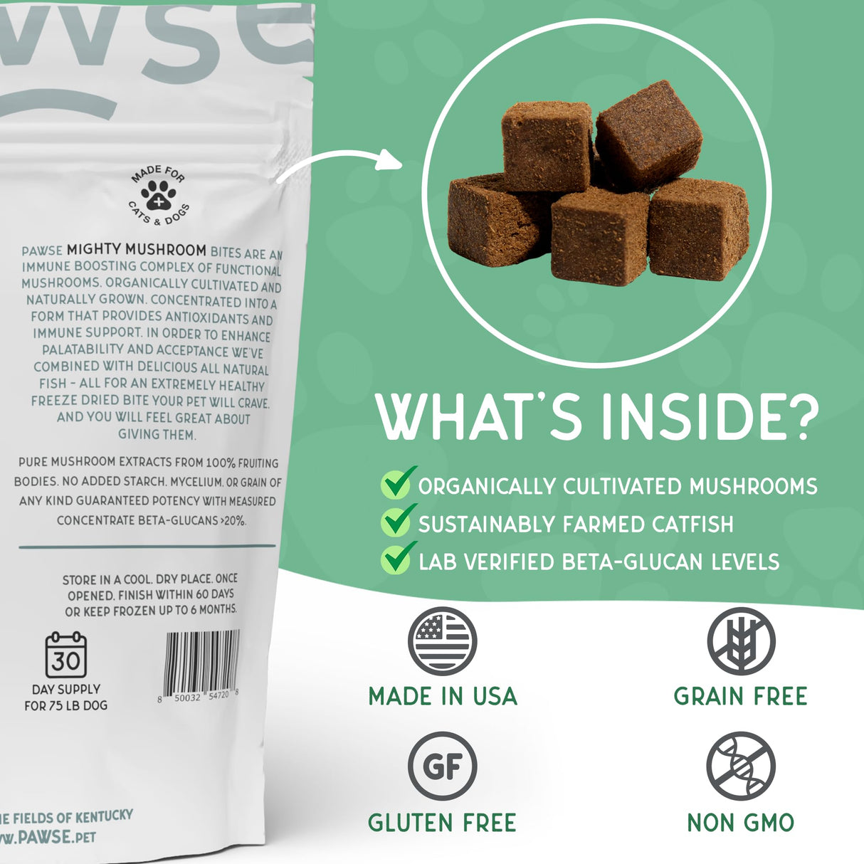 Pawse Mighty Mushroom Chews Supplement for Dogs & Cats | Blend of Turkey Tail, Reishi, Chaga, Maitake & Shiitake | for Immune System, Lumps & Bumps, Gut Health & Skin Support | 60 Chews