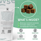 Pawse Mighty Mushroom Chews Supplement for Dogs & Cats | Blend of Turkey Tail, Reishi, Chaga, Maitake & Shiitake | for Immune System, Lumps & Bumps, Gut Health & Skin Support | 60 Chews