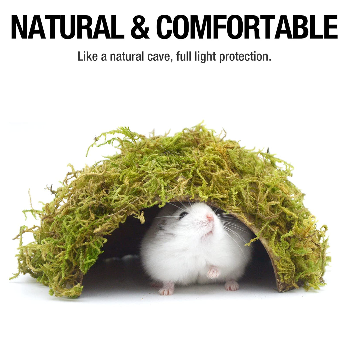 SanmooAio Hamster Hideout - Large, Natural Moss, Handcrafted for Syrian Hamsters, Rats & Guinea Pigs, Safe & Eco-Friendly