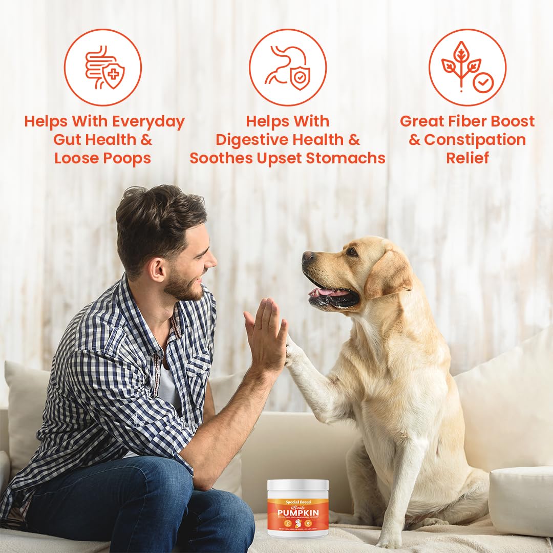 Ultimate Pumpkin for Dogs (16 oz) - with Organic Pumpkin, Apple, Sweet Potato, Miscanthus Grass & Blueberry, Digestive Support Relief for Constipation, Loose Stools, and Upset Stomaches, 60 Scoops