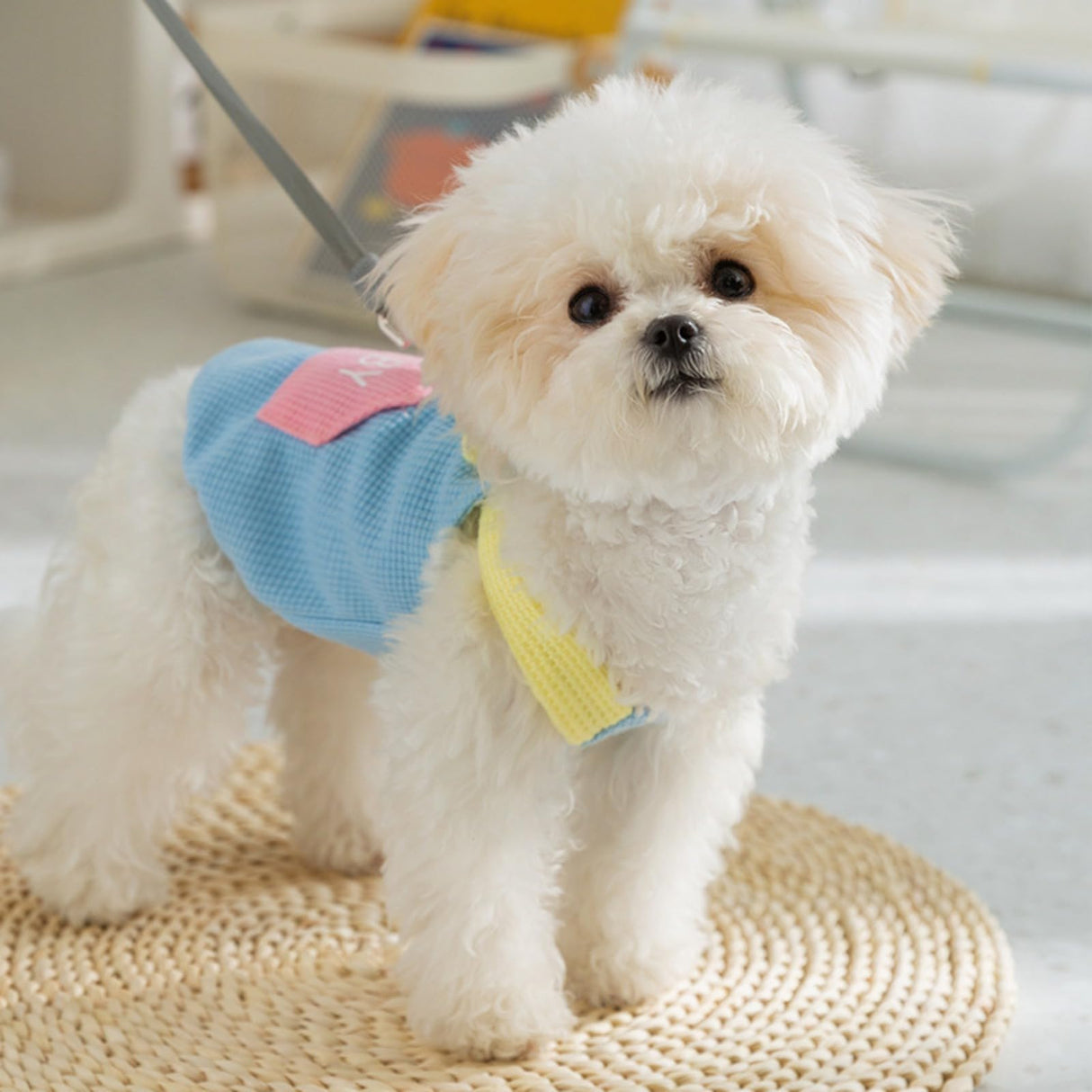 Dog Shirts for Small Dogs Stretchy Dog T-Shirts Lightweight Baby Printed Dog Tank Top Sleeveless with D-Ring Dog Shirt Vest Breathable Cat Shirt Puppy Clothes Dog Outfits Dog Pjs Blue S