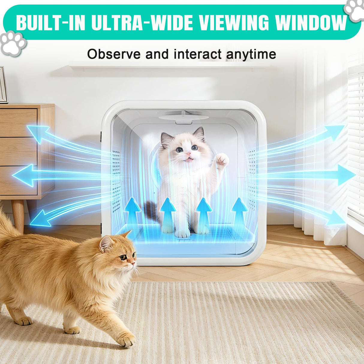 Automatic Pet Hair Dryer Box,Powerful Motor Fans Blower for Cats and Small Dogs,360° Drying,Temperature Control,Self-Dryer Boxes with 3 Adjustable Speed Settings&Quick Drying Modes, Cat Toys,Towel W