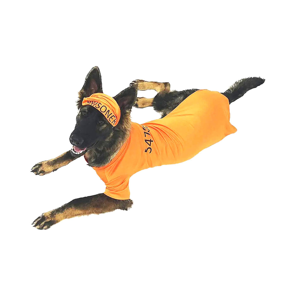 Midlee Orange Halloween Costume (XXX-Large)