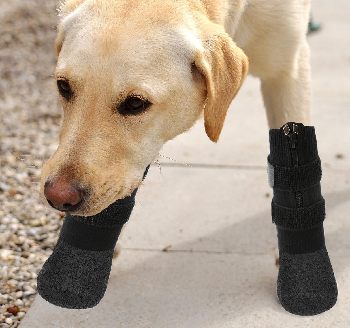 VALFRID Waterproof Grip Dog Shoes,Anti-Slip Dog Socks Boots,Zipper Dogs Booties Paw Protectors for Hardwood Floor,Indoor and Outdoor for Small Medium Large Dogs Black