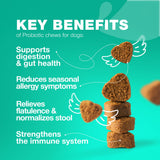 Probiotics for Dogs Gut Health, Digestion, Immunity, Yeast Balance, Itchy Skin, Allergies Support - Dog Probiotic Chews with Digestive Enzymes for Gut Flora- Soft Treats with Pumpkin and Yeast Powder