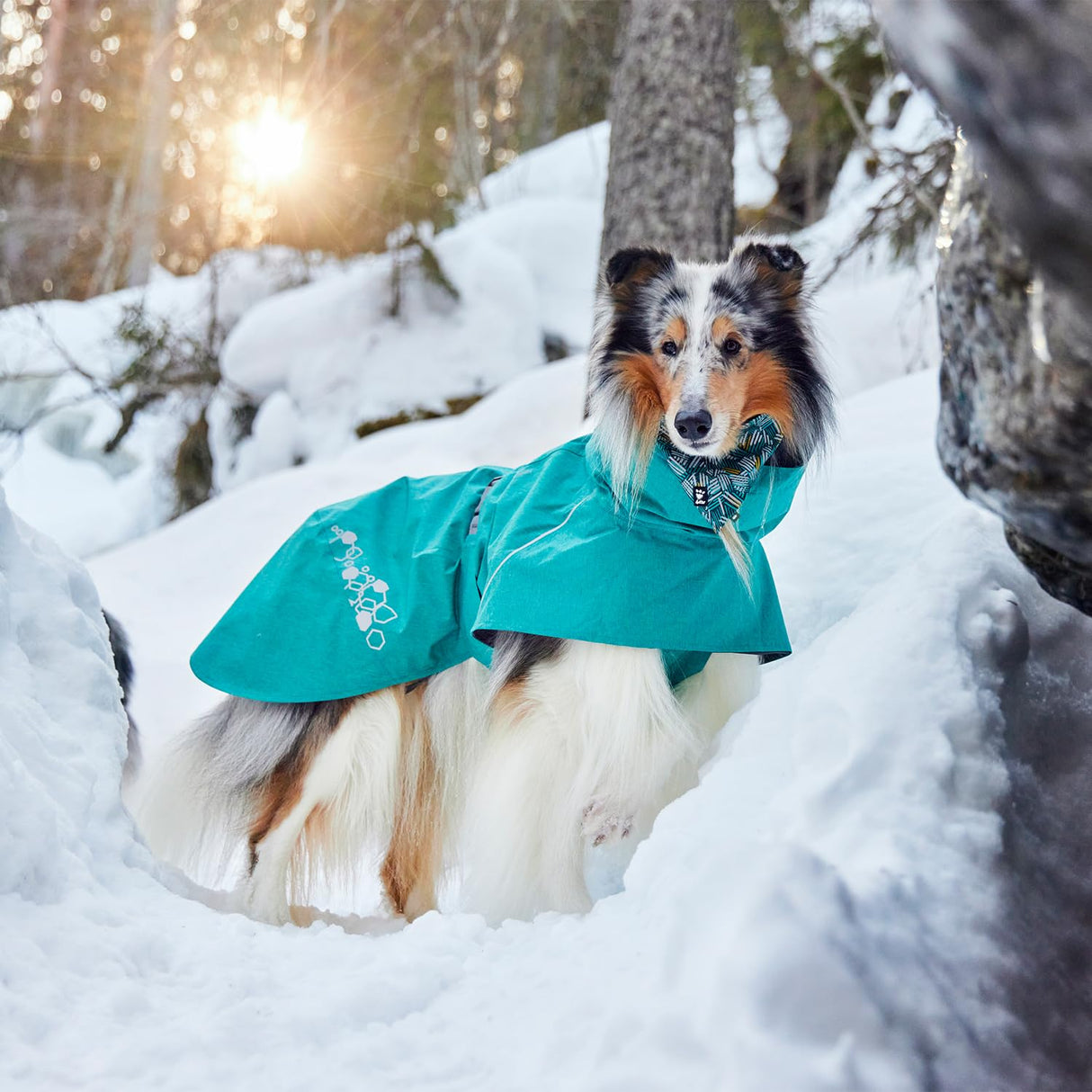 Hurtta Monsoon Coat II ECO, Wet Weather Dog Raincoat Coat, Peacock, 9 in