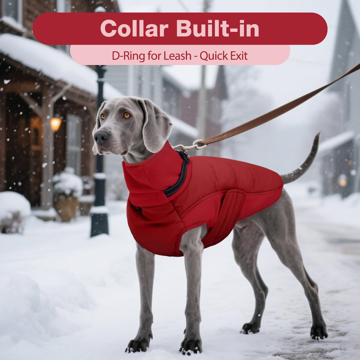 DENTRUN Dog Coat with Collar Built in - Fleece-Lined Windproof Dog Jacket, Adjustable Belly Straps & Reflective Strips, No-Sleeve Design for Beagle, Dachshund, Daily Walks, Red, M