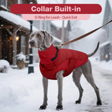 DENTRUN Dog Coat with Collar Built in - Fleece-Lined Windproof Dog Jacket, Adjustable Belly Straps & Reflective Strips, No-Sleeve Design for Beagle, Dachshund, Daily Walks, Red, M