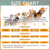 BEAUTYZOO Small Dog Sweater Fleece Vest Winter Jacket, D-Ring Leash Attachment for XS S Puppy Medium Sized Breeds Dogs, Cold Weather Dog Clothes Windproof Keep Warm, Black Bones Paw L