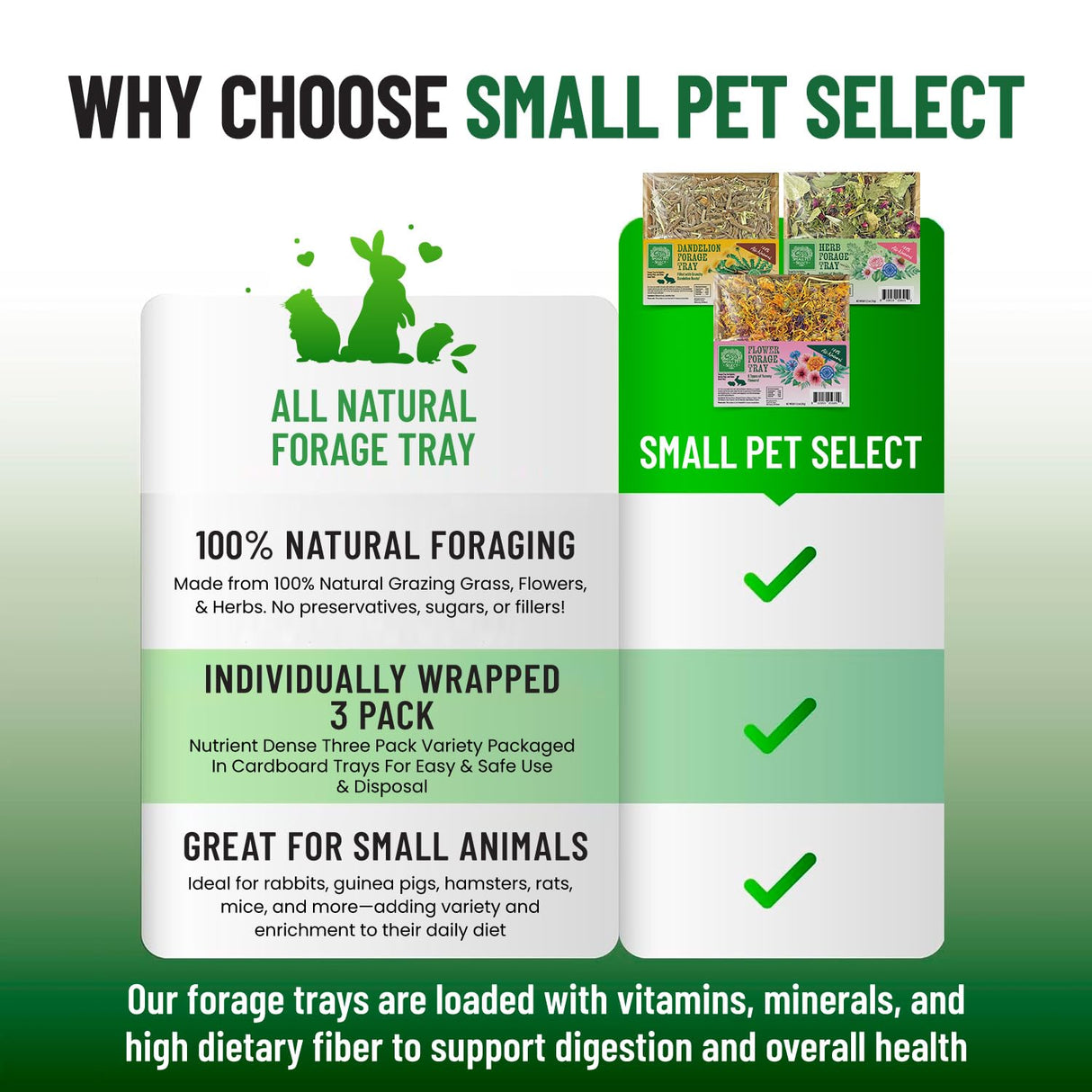 Small Pet Select Forage Tray Bundle, 3 Pack of Foraging Trays for Rabbit, Guinea Pig, Hamster or Bunny - Natural Treats, Dandelion, Flower, Herb Mix 2.5oz Each