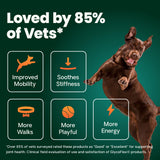 VetriScience Healthy Hip & Joint Chews, GlycoFlex Glucosamine and Green-Lipped Mussel Joint Support Supplement for Dogs, Promote Mobility and Protect Joints, Chicken, 120 Count