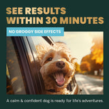 VetriScience Calm & Confident Chews, Composure Clinically Tested Calming and Anxiety Supplement for Dogs, Reduce Stress and Fear, Ideal for Thunderstorms, Fireworks and Travel, Chicken, 60 Count