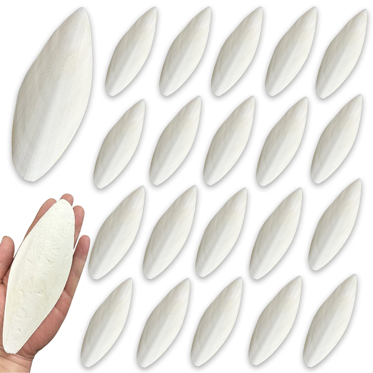 Clyairmao Bird Cuttlebone for Parakeets Cuttlebone for Birds - 100% Natural Cuttlefish Bone Bulk Chew Toy Bird Bites Calcium Stone for Canaries Tortoises,Snails,Reptiles,Parrots,Cockatiel